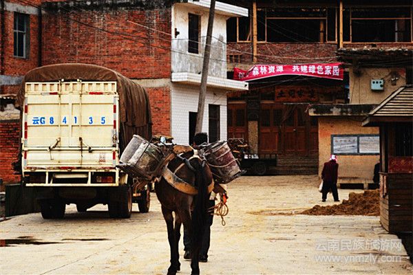 村中行走的馬匹