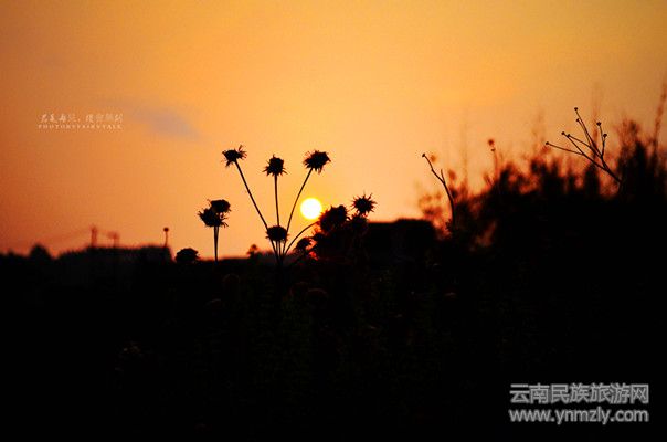 暮色中的城子古村田野