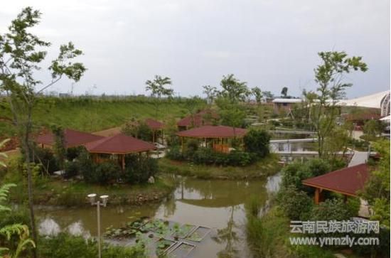 爨&nbsp;龍&nbsp;園&nbsp;溫&nbsp;泉