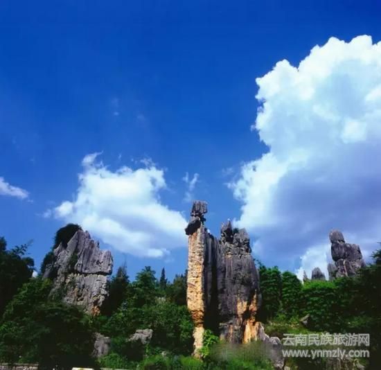 阿詩瑪（小石林）（李蘭英攝）