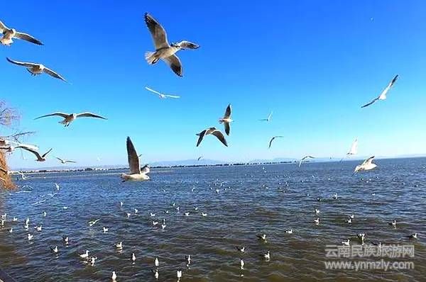 云南六大最新最具特色的旅游攻略!