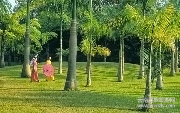 云南六大最新最具特色的旅游攻略!