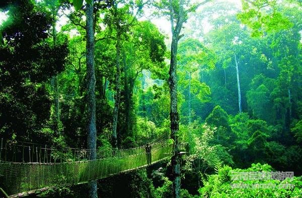 云南六大最新最具特色的旅游攻略!