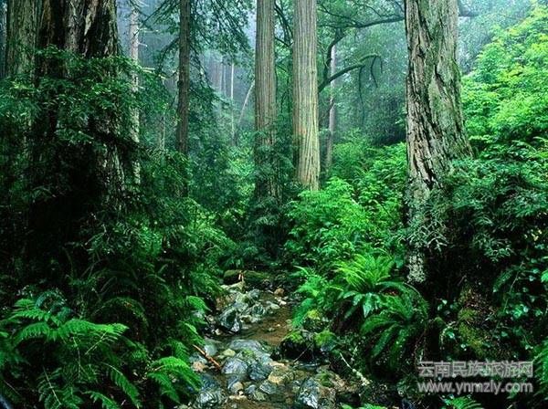 云南六大最新最具特色的旅游攻略!