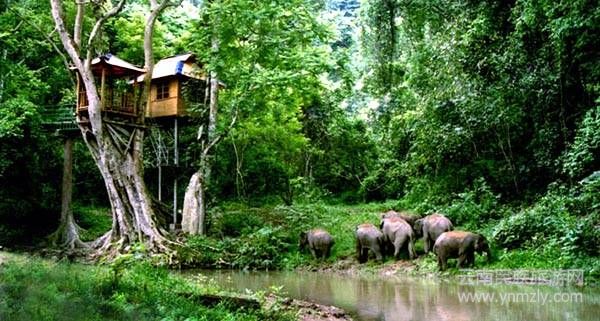 云南六大最新最具特色的旅游攻略!