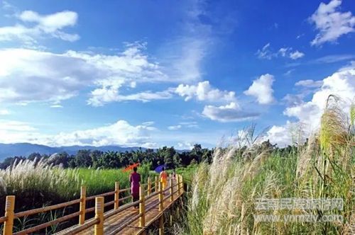 盈江游玩最強(qiáng)攻略 你得這樣玩 盈江游玩最強(qiáng)攻略 你得這樣玩