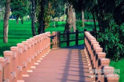 盈江游玩最強(qiáng)攻略 你得這樣玩 盈江游玩最強(qiáng)攻略 你得這樣玩