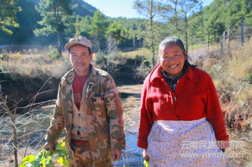 5年了,這對夫妻在文筆山深處為夢想打拼 5年了,這對夫妻在文筆山深處為夢想打拼