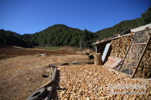 5年了,這對夫妻在文筆山深處為夢想打拼 5年了,這對夫妻在文筆山深處為夢想打拼