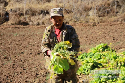 5年了,這對夫妻在文筆山深處為夢想打拼 5年了,這對夫妻在文筆山深處為夢想打拼