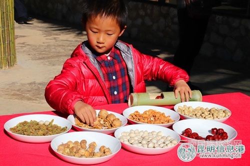 云南野生動物園引進(jìn)世界上最漂亮的猴子山魈 邀游客為其取名