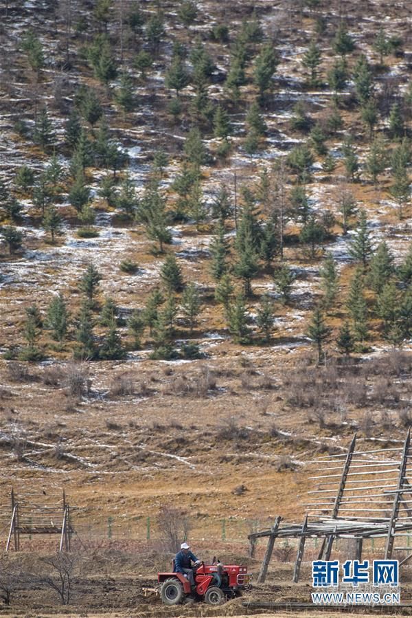 （社會）（2）雪域高原農(nóng)事忙